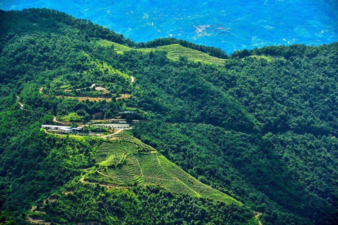 安溪人才网最新司机招聘信息，探索自然美景，寻求内心平和的驾驶之旅