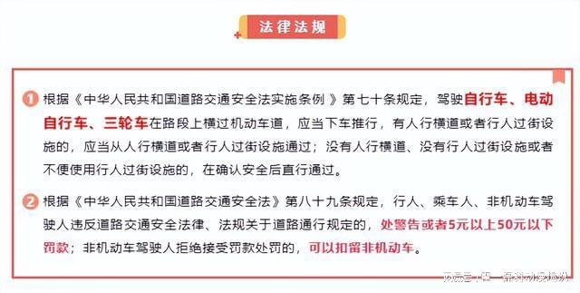 最新道路交通安全法实施条例解读，全面梳理与观点阐述