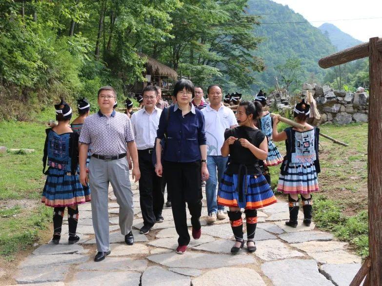 导柳二级路最新进展与观点论述揭秘