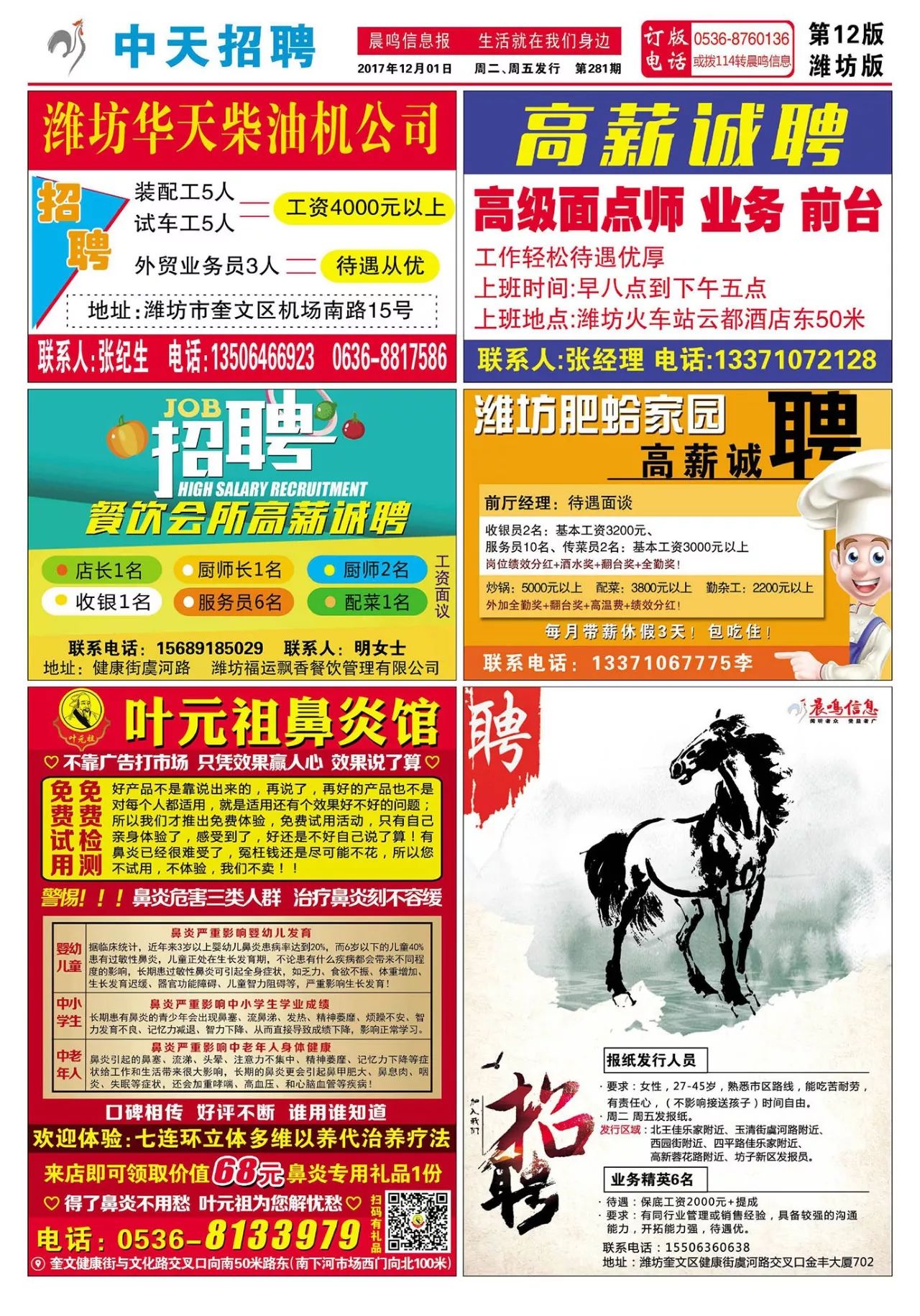宝鸡第一人才网最新招聘信息，求职步骤指南全解析