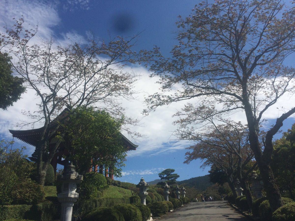 Gaohaolu最新探索，自然美景之旅，寻找内心平和的乐园