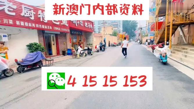 2024澳门天天开好彩大全免费,即时解答解析分析_精装版95.967