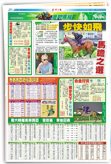 2024澳门特马今晚开奖图纸,创新策略执行_清新版95.101