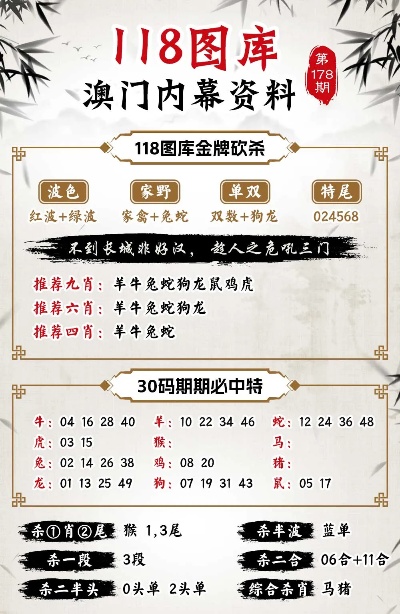 今晚澳门特马开的什么,具象化表达解说_L版95.822