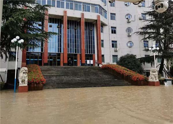 合肥洪涝灾害最新动态，洪水边的心灵之旅