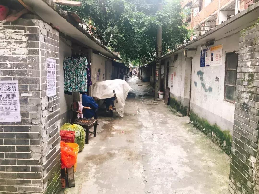 揭秘特色小店与社保缴费新规定，环境与活力的碰撞！