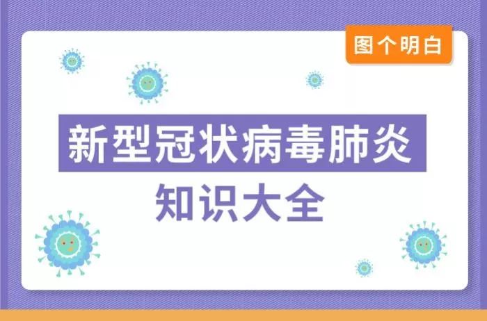 冠状病毒最新动态，学习变革与未来力量铸就之路