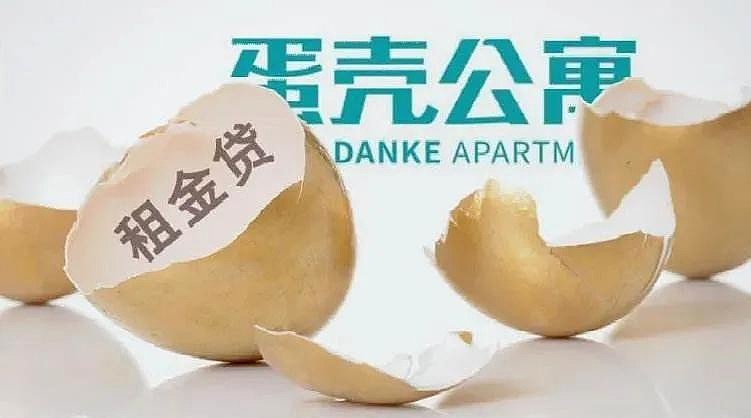 蛋壳租金贷最新进展与动态🌟