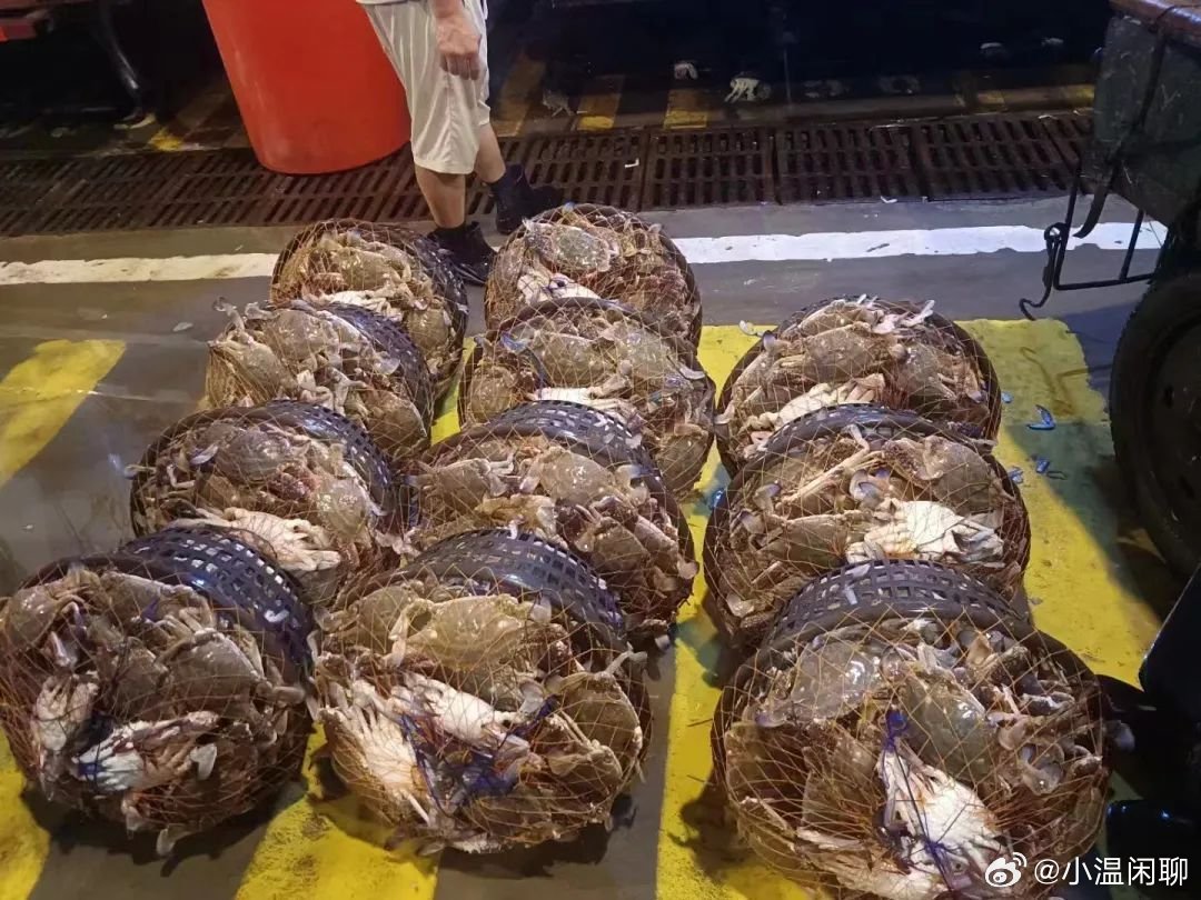 梭子蟹最新价格行情分析📊