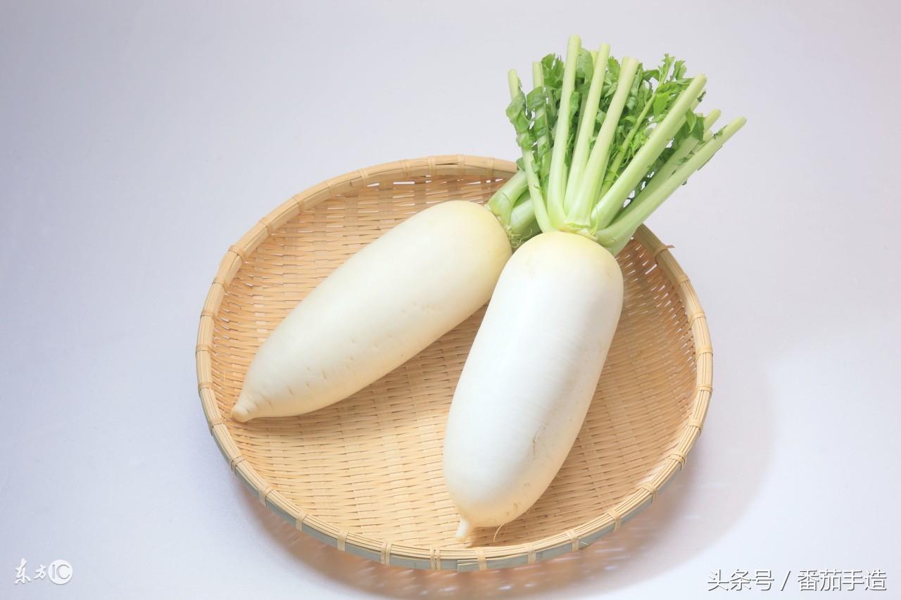 姜的最新价格揭秘，心灵宁静的绿色之旅启程