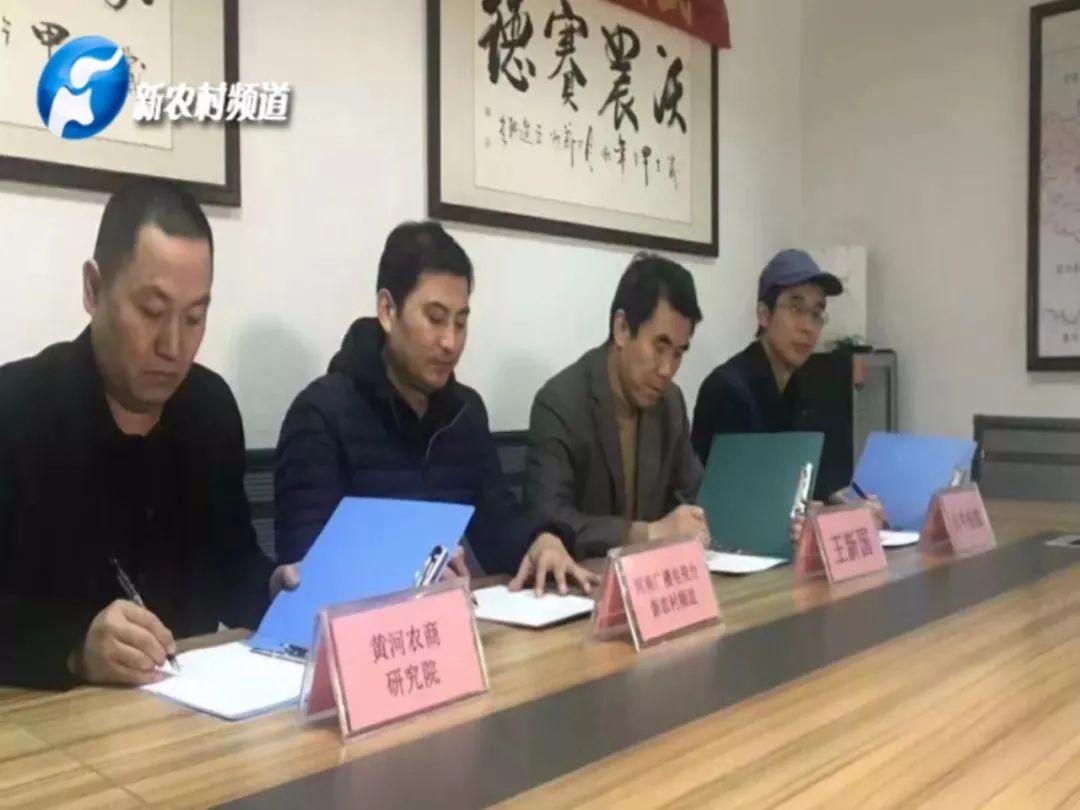 最新少儿趋势聚焦，探索成长新篇章