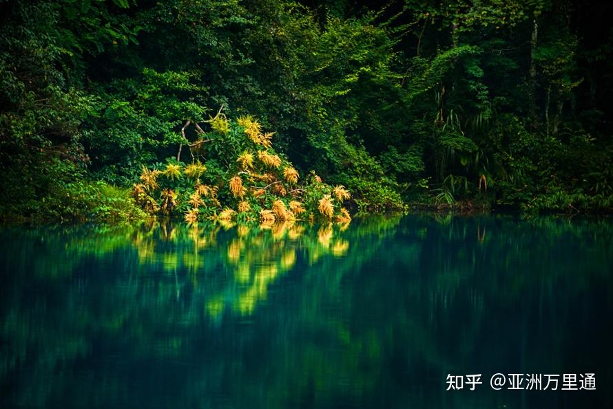 追寻心灵平和，自然美景之旅与最新新闻24小时概览
