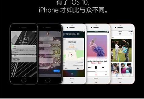北京水木医学生物发展基金会 第48页