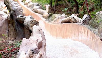 探索自然美景，寻找内心平和与宁静，最新任我干视频之旅