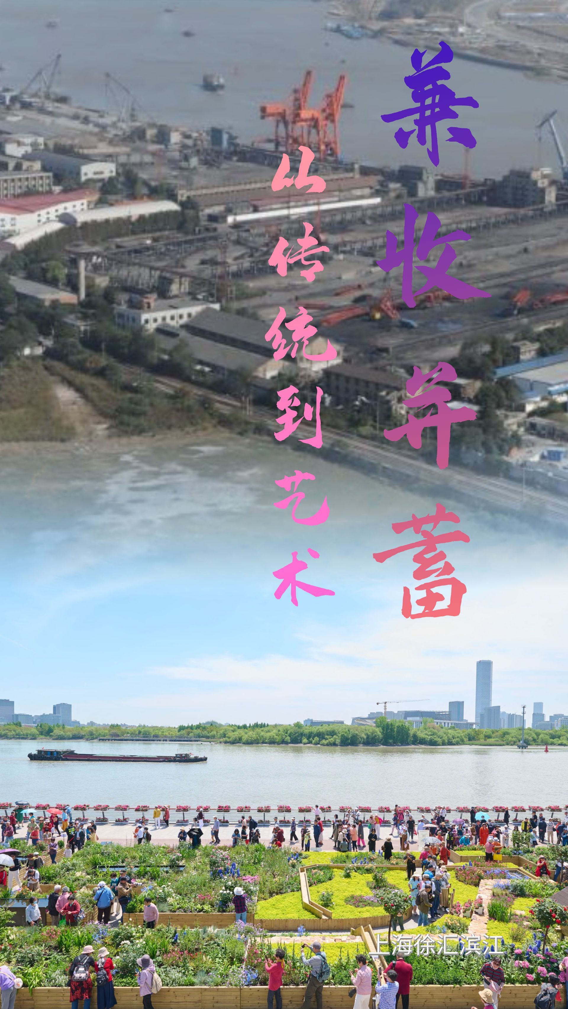 最新禽流感，自然美景下的轻松邂逅挑战