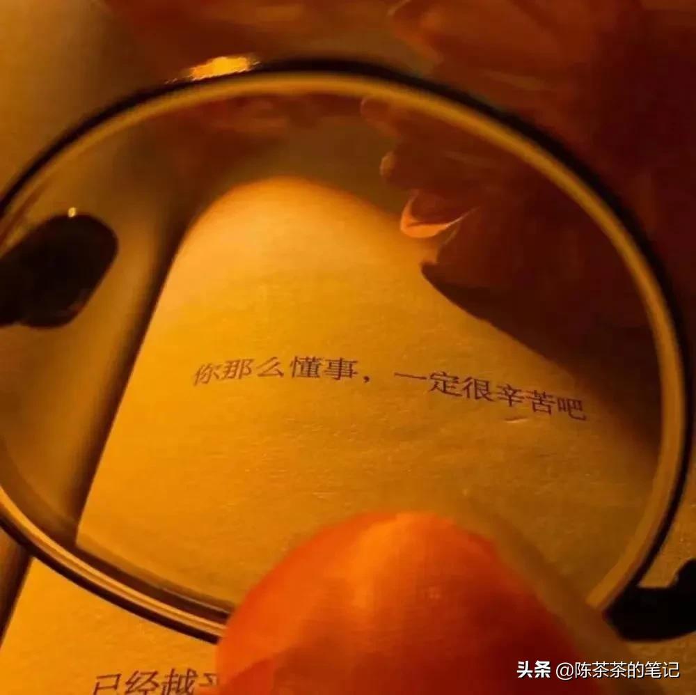 最新迷失版本，自然美景的亲密旅行探险