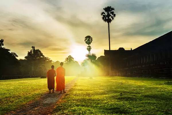 探索自然美景的治愈之旅，最新电影与内心平和的启程